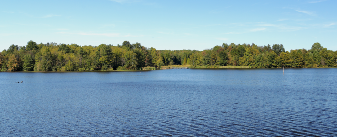 Mattoonwatercrisis Header V2