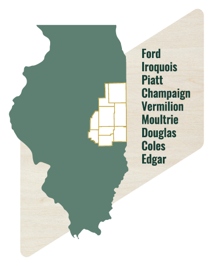 Map Without Logo